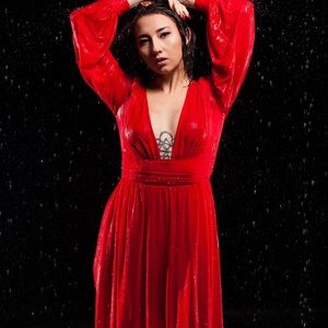 Small red sheer dress